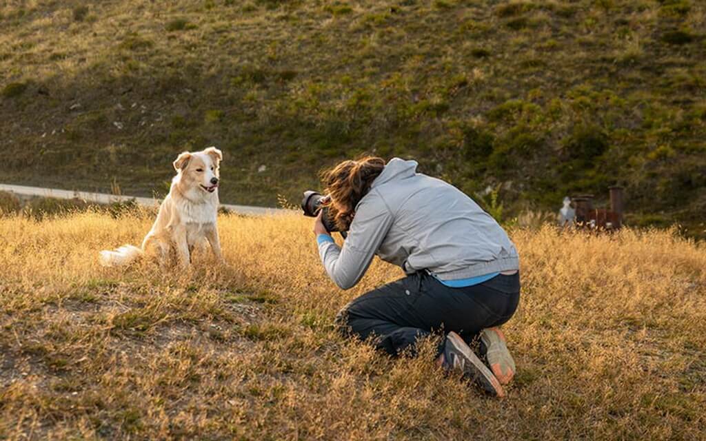 Kutyafotózás